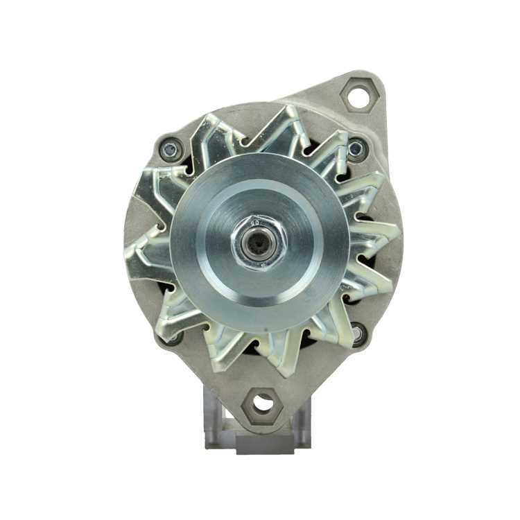 Original Neu Mahle Lichtmaschine passend für Carraro   MG211 65 A