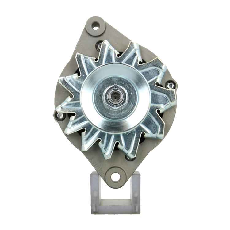 Original Neu Mahle Lichtmaschine passend für Bukh   MG171 50 A