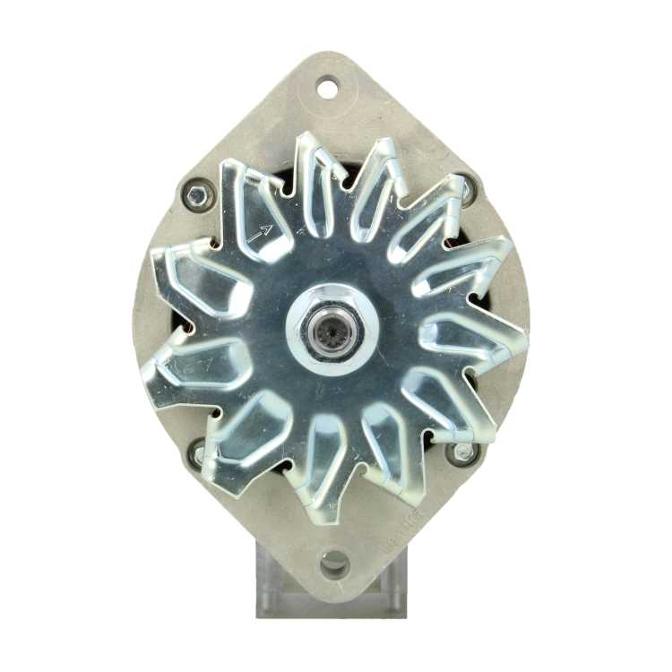 Original Neu Mahle Lichtmaschine passend für Nanni   MG581 120 A