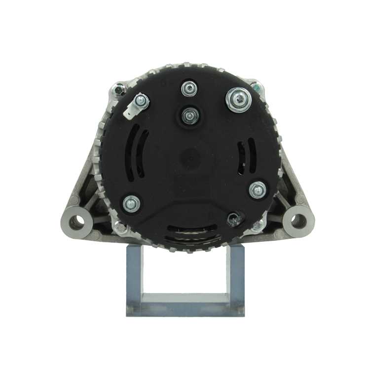 Original Neu Mahle Lichtmaschine passend für Landini   MG181 120 A