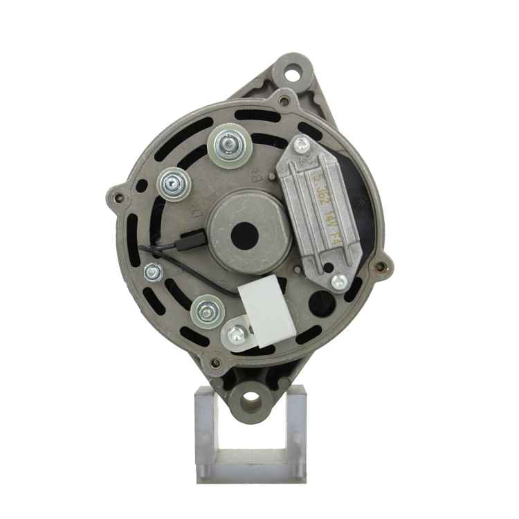 Original Neu Mahle Lichtmaschine passend für Bukh   MG171 50 A